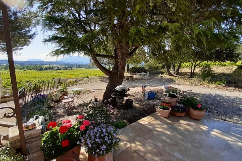 Le Clos Des Pins, Vue Mont Ventoux Roaix Esterno foto
